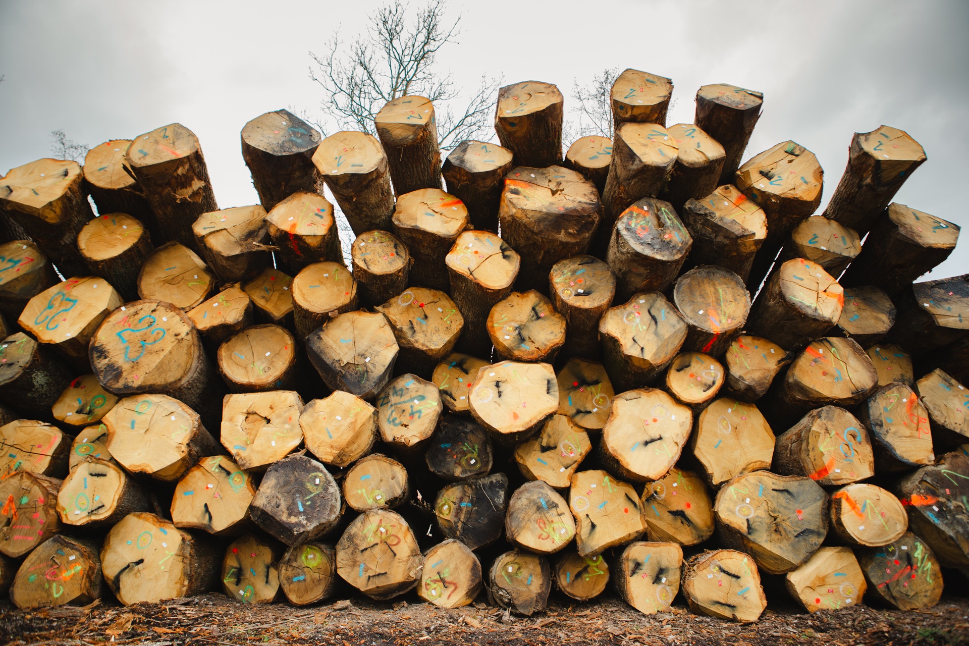 Holzwerk Stefl GmbH